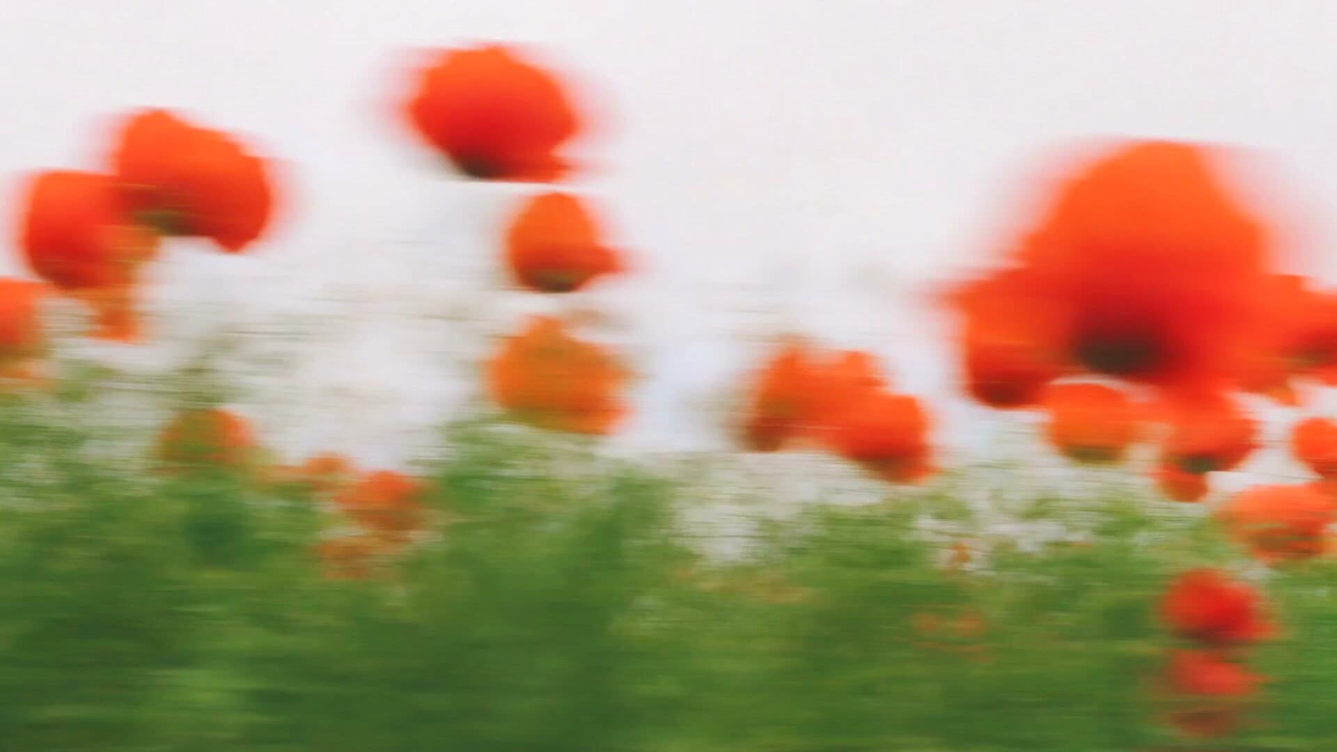 Soft floral closing background.